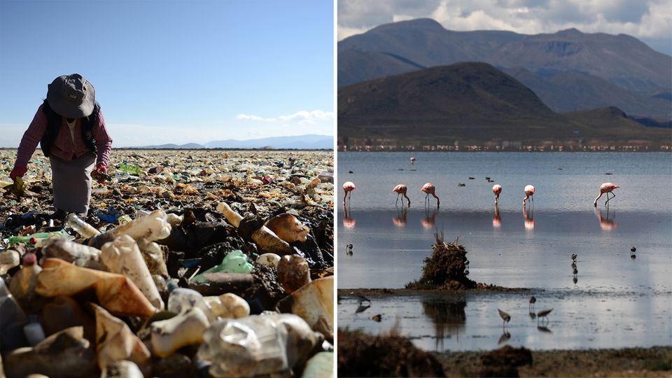Bolivien Umweltverschmutzung Plastik Uru-Uru-See Einstiges Paradies wird zum Ort des Grauens: Ein Meer von Plastik im Uru-Uru-See