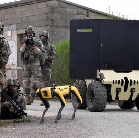 Spot beweget sich auf Beinen fort, eine Besonderheit bei Robotern. 