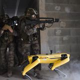 Erst schaut Spot um die Ecke, dann folgen die Soldaten.