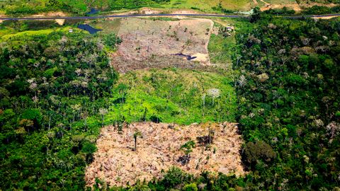 Brasilien, Acre: Luftaufnahme eines abgeholzten Gebiets im Amazonas-Regenwald