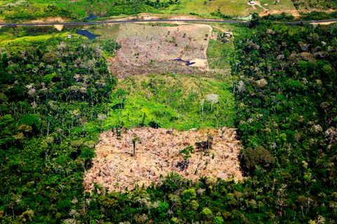 Brasilien, Acre: Luftaufnahme eines abgeholzten Gebiets im Amazonas-Regenwald