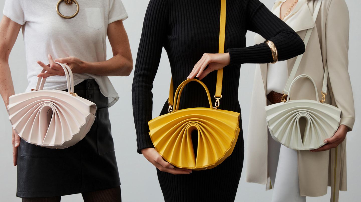 Latest Trend In Handbags 2024 - Cayla Daniele