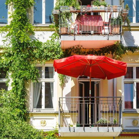 Altbau in Berlin Prenzlauer Berg