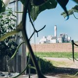 Die Anlage befindet sich auf einer Müllverbrennungsanlage. Günstige Abwärme ist wichtig, um die CO2-Fabrik kostengünstig betreiben zu können.