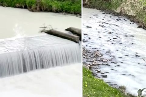 Wales: Fluss färbt sich weiß nach Milchtransporter-Unfall.