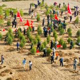 Die Güne Mauer wird von Propaganda-Events begleitet.