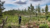 Inzwischen werden lokale Bauern als Waldpfleger bezahlt. Sie müssen dafür sorgen, dass die Setzlinge überleben.