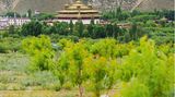Die Wälder erstrecken sich bis nach Tibet.