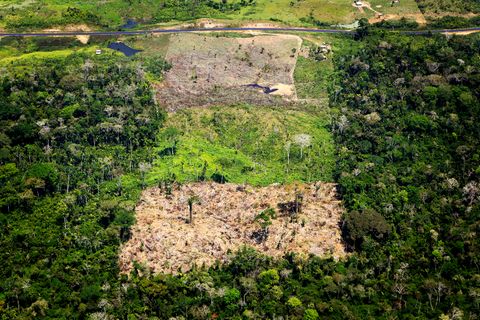 Gerodete Flächen des Amazonas in Brasilien.