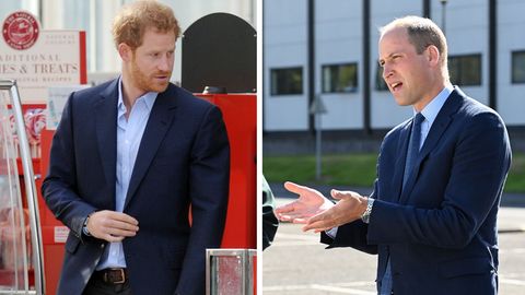 Auf dem Königsweg: In Trauer vereint: Finden die Brüder William und Harry nun wieder zusammen?