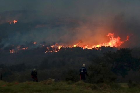 Südafrika, Kapstadt: Ein Feuer wütet an den Hängen vom Tafelberg