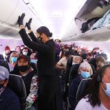 Bis auf den letzten Platz besetzt sind die ersten Flüge auf der Route zwischen Neuseeland and Australien, der "Trans-Tasman travel bubble".