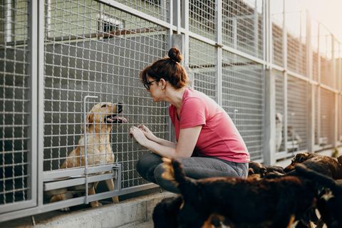 Eine Frau sitzt vor einem Käfig eines Hundes im Tierheim