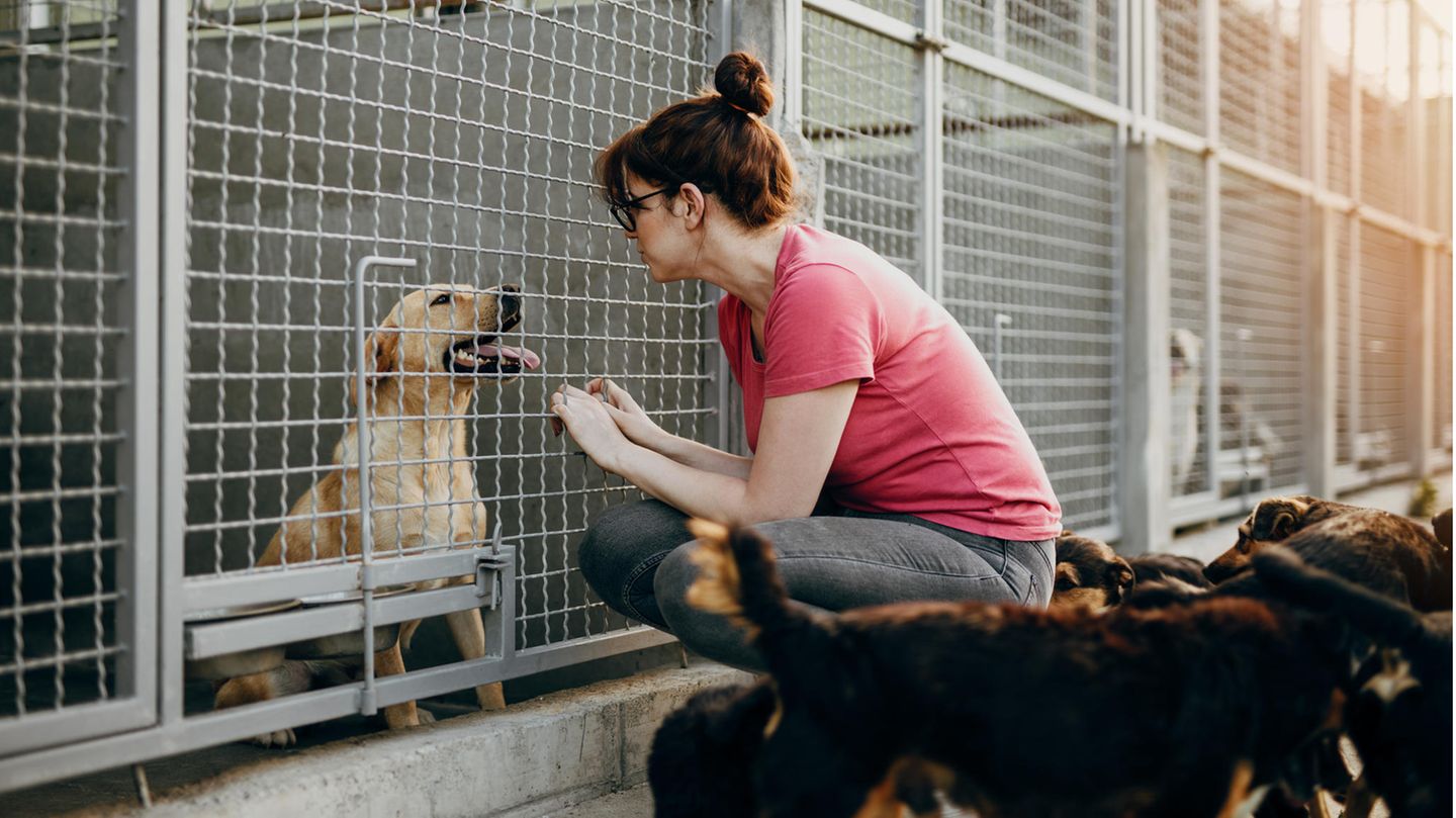 Eine Frau sitzt vor einem Käfig eines Hundes im Tierheim