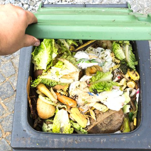 Lebensmittelverschwendung