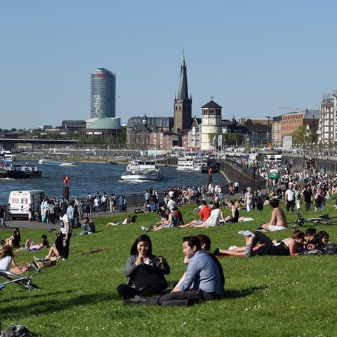 Frühling am Rhein 2016