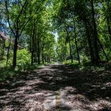 Der Komplex umfasst mehr als 30 Hektar und war die erste Heilstätte für an Tuberkulose Erkrankte im Norden Deutschlands.