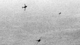 MiG-15 schwenken zum Angriff ein.