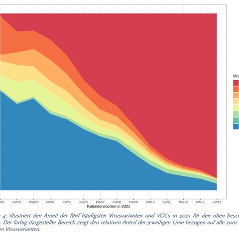 Die neue Auswertung des RKI zeigt, wie die britische Coronavirus-Mutante B.1.1.7 (rot) sich hierzulande durchsetzte