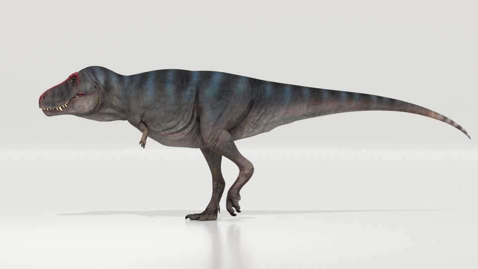 Das Bild zeigt eine Rekonstruktion des Tyrannosaurus rex