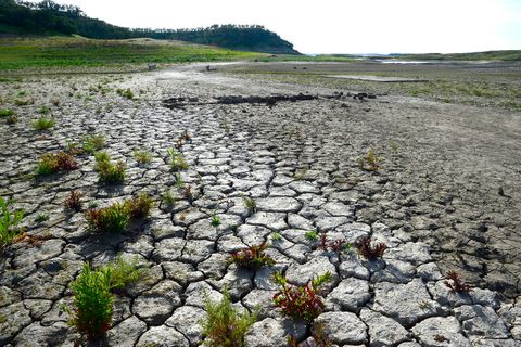 Seit Aufzeichnungsbeginn: Klimawandel macht keine Pause: 2020 wärmstes Jahr in Europa