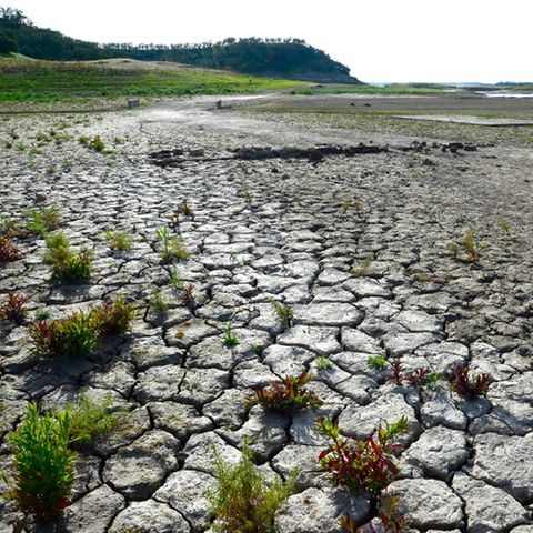 Seit Aufzeichnungsbeginn: Klimawandel macht keine Pause: 2020 wärmstes Jahr in Europa
