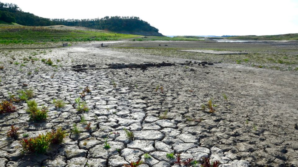 Seit Aufzeichnungsbeginn: Klimawandel macht keine Pause: 2020 wärmstes Jahr in Europa