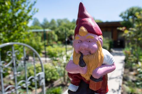Werden Gartenzwerge jetzt zur Mangelware? (Symbolbild)