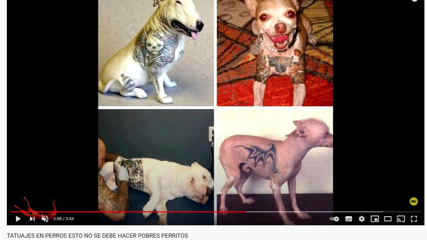 tatuaje de mascota
