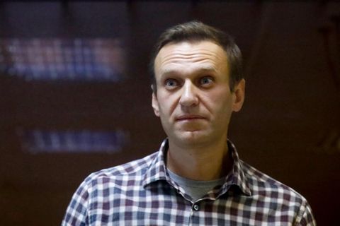 Der russische Oppositionsführer Alexej Nawalny