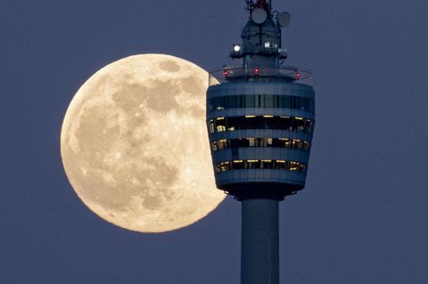 "Supermond" hinter dem Stuttgarter Fernsehturm