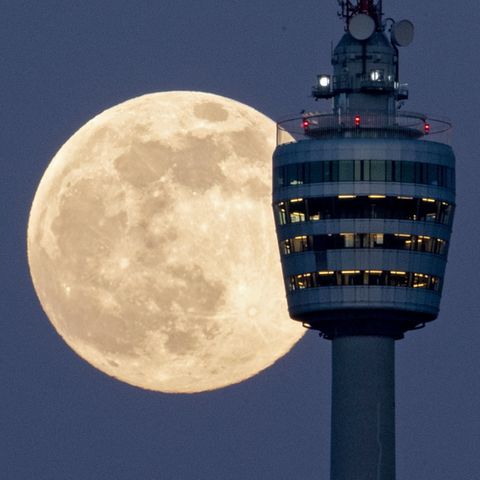 "Supermond" hinter dem Stuttgarter Fernsehturm