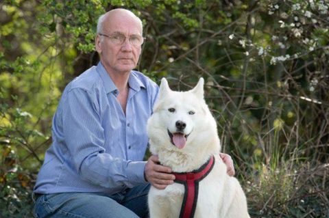 Terry Walsh und seine Husky-Hündin Hel