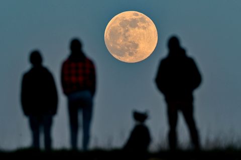 Bild 1 von 10 der Fotostrecke zum Klicken:  Menschen in Brandenburg  stehen auf einem Hügel und beobachten den aufgehenden Mond. 