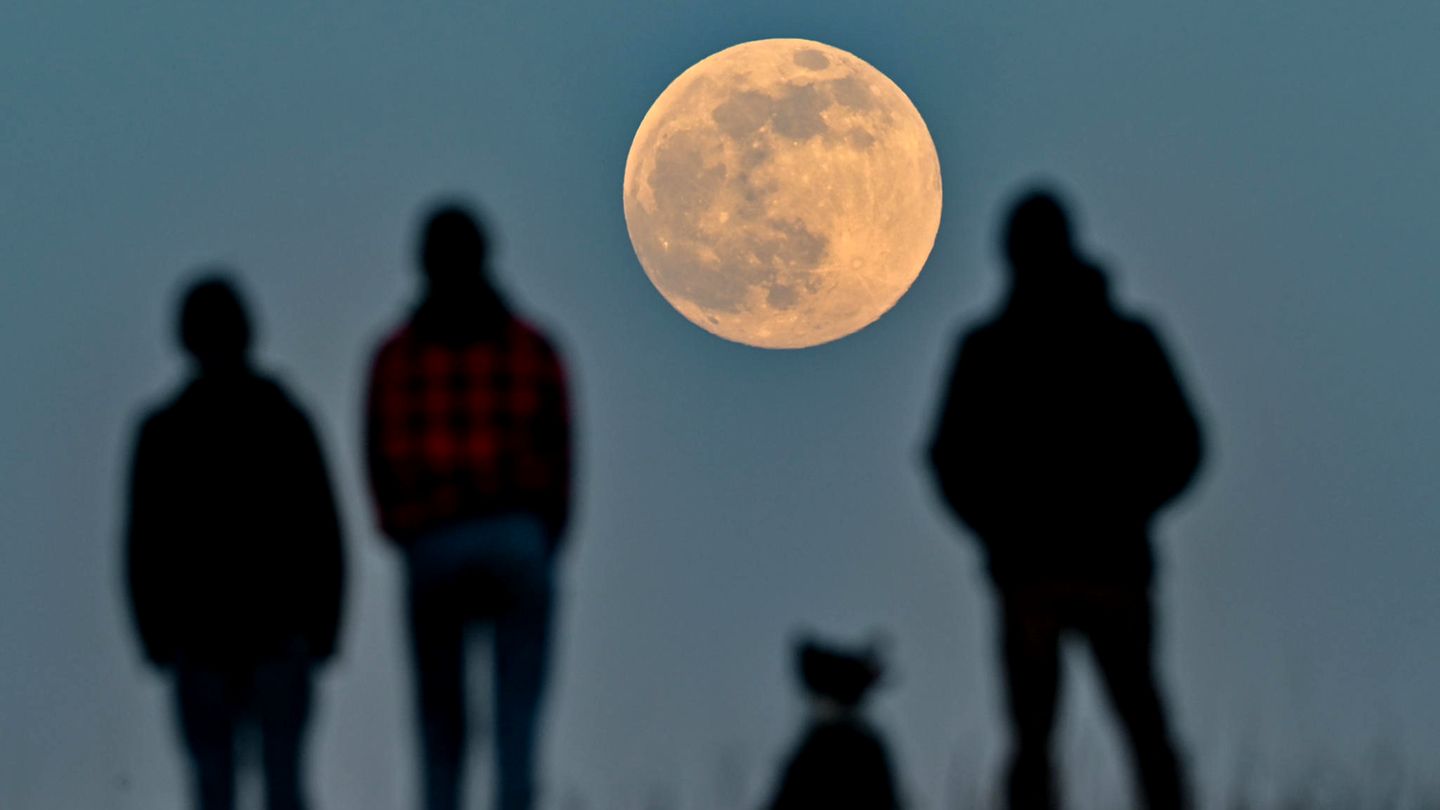 Bild 1 von 10 der Fotostrecke zum Klicken:  Menschen in Brandenburg  stehen auf einem Hügel und beobachten den aufgehenden Mond. 