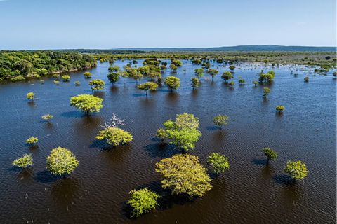Pflanzgebiet auf der Halbinsel Yucatán