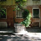 Grüne Oasen  Ungestörte Momente, abseits vom Trubel: In der Lagunenstadt existieren nur wenige Gärten, in die sich die Venezianer zurückziehen können.