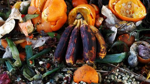 Weggeworfenes Obst und Gemüse auf einer Müllhalde