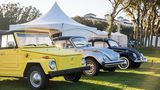 VW Modelle auf dem Concours d Elegance