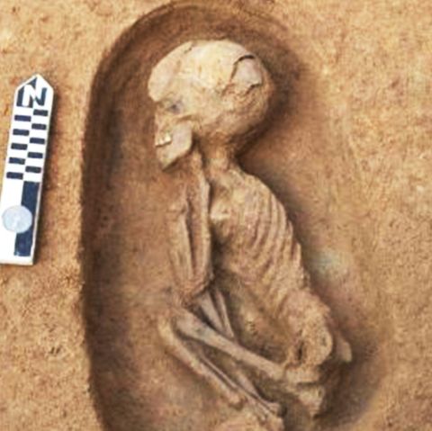 Sensationsfund in Ägypten: 110 Grabstätten bei Ausgrabungen entdeckt.