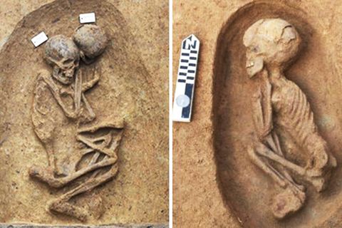 Sensationsfund in Ägypten: 110 Grabstätten bei Ausgrabungen entdeckt.
