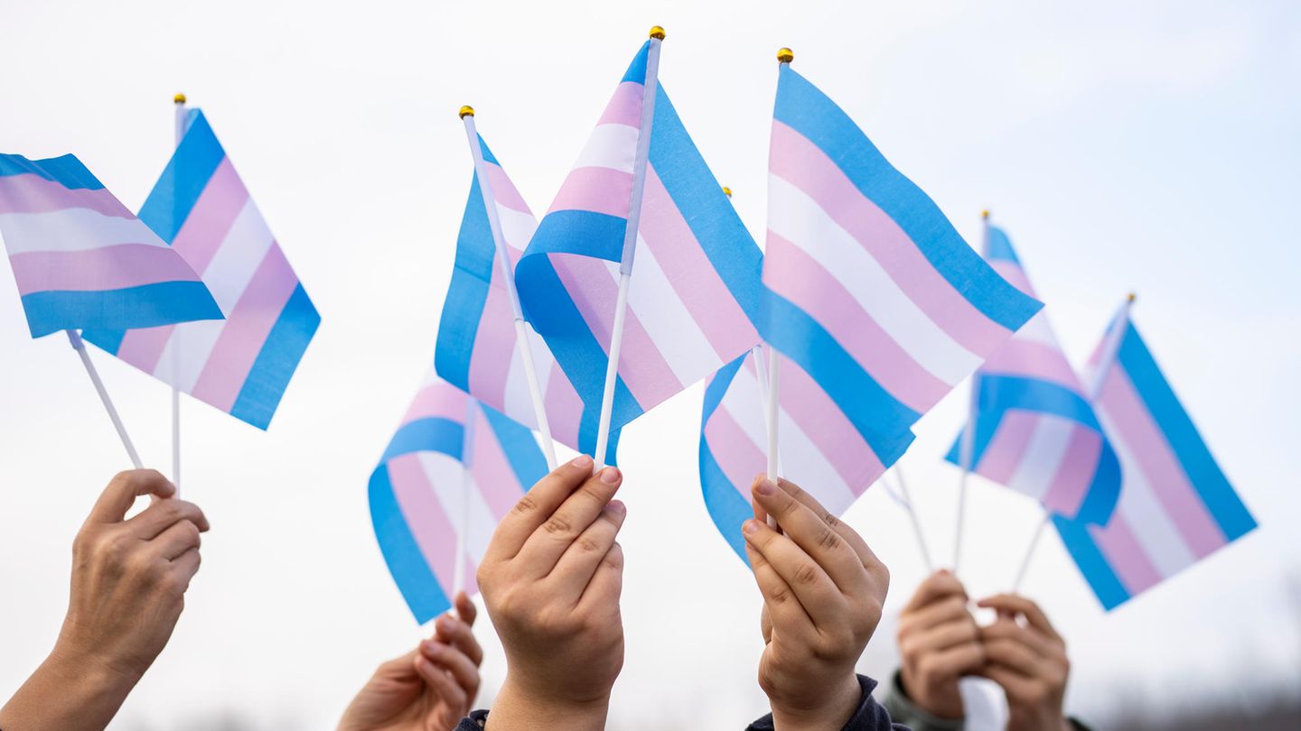 Blau, rosa und weiß sind die Farben der Trans-Pride-Flaggen, die hier in die Höhe gehalten werden
