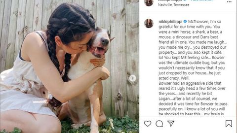 Influencerin Nikki Phillippi ließ ihren Hund einschläfern