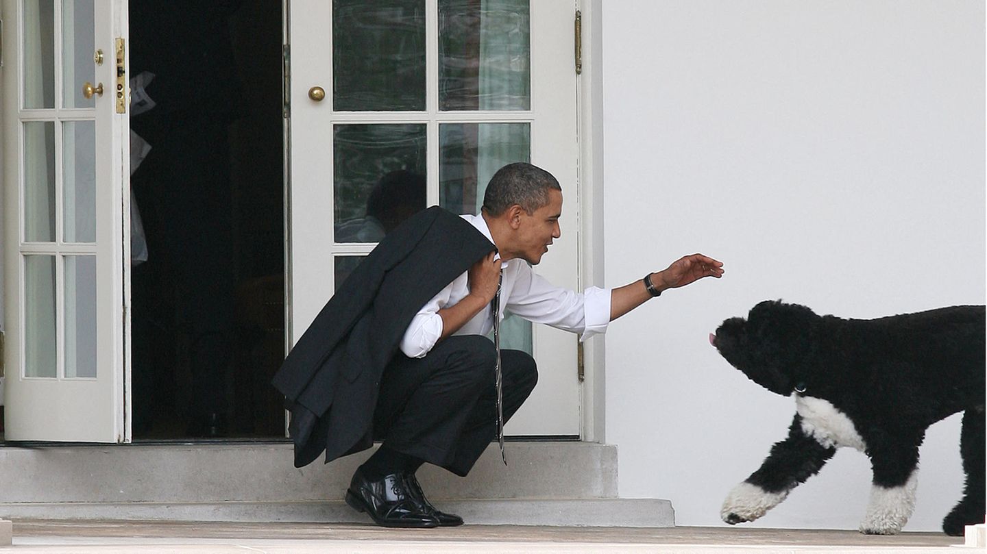 Barack Obama se arrodilla y saluda a su perro, Boo