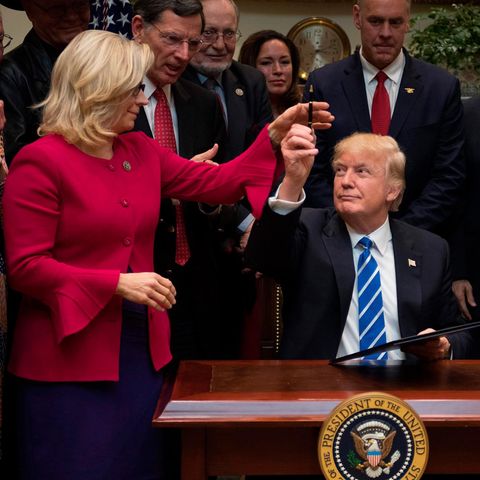 Liz Cheney und Donald Trump