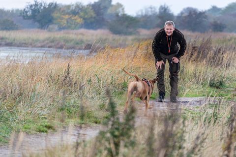 Ein reifer Mann mit grauen Haaren ruft seinen Hund, und der glückliche Hund rennt auf ihn zu.