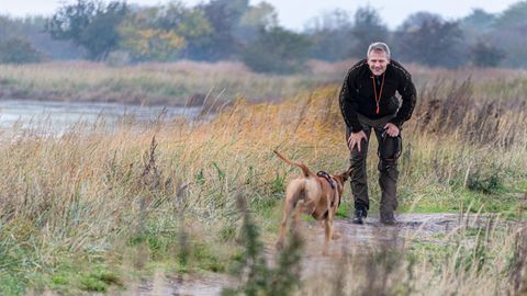 Ein reifer Mann mit grauen Haaren ruft seinen Hund, und der glückliche Hund rennt auf ihn zu.