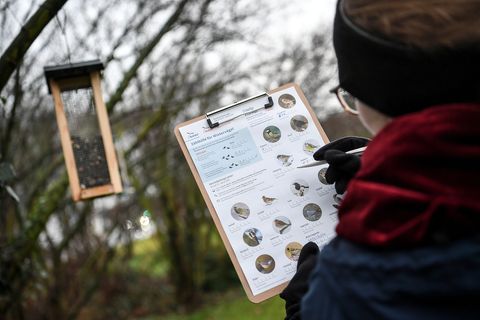 Frau notiert einen gesichteten Vogel.