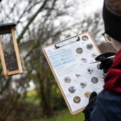 Frau notiert einen gesichteten Vogel.