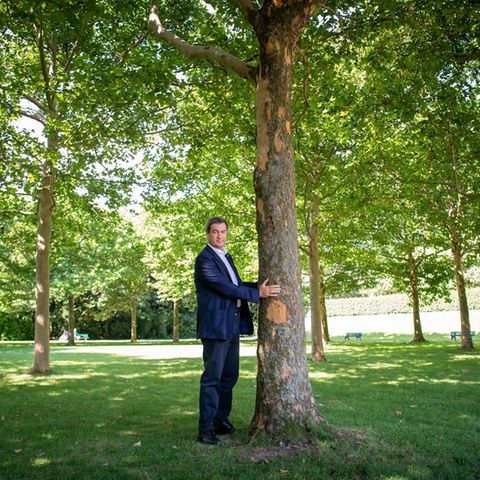 Markus Söder steht neben einem Baum